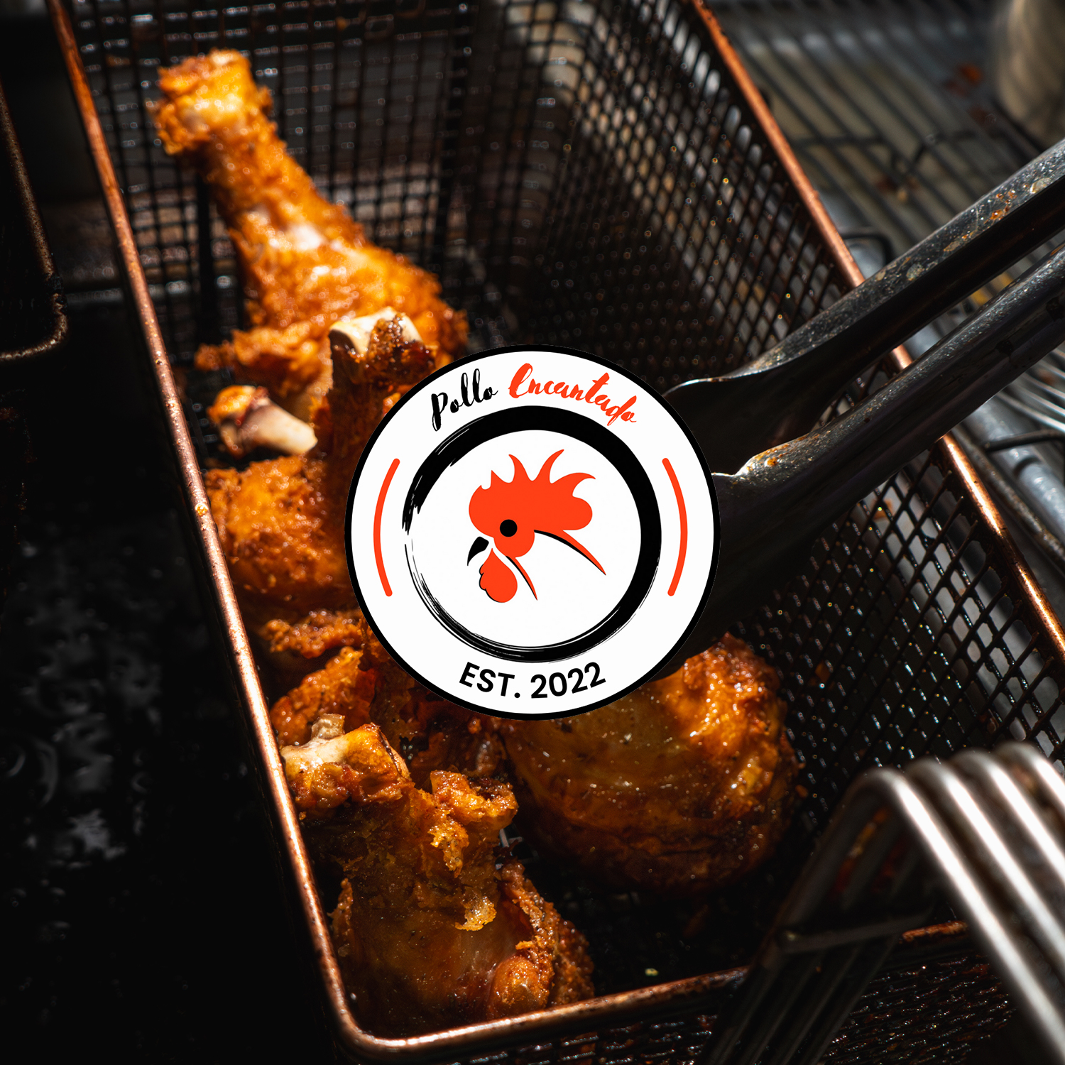 Pollo